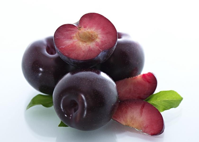 Oppy expands South African plum portfolio in second season The Packer